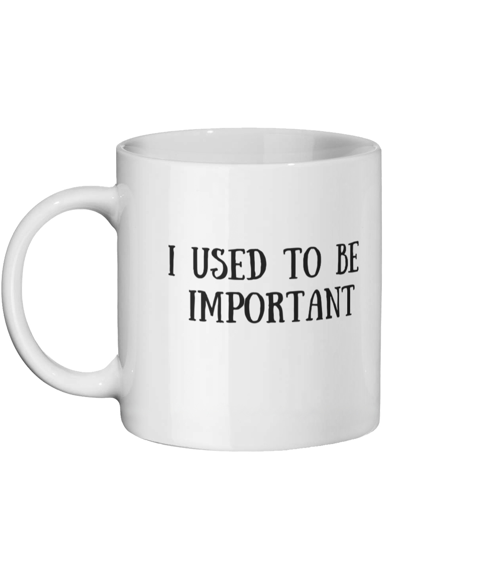 I Used To Be Important Mug Left-side